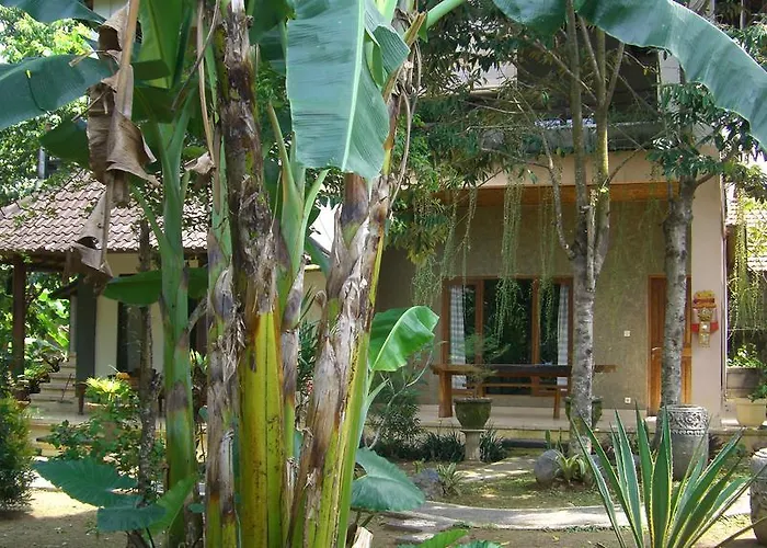 Pensión Bali 68