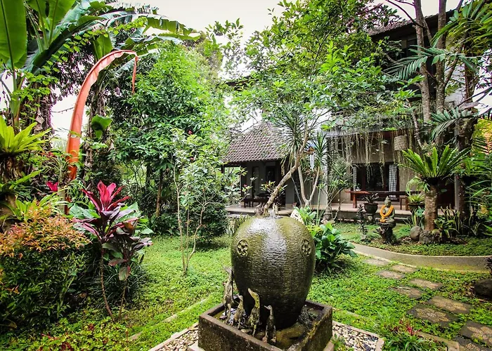 Bali 68 Ubud